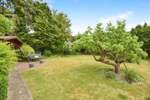 Photo 10- click for photo gallery